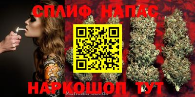 гашик Рузаевка