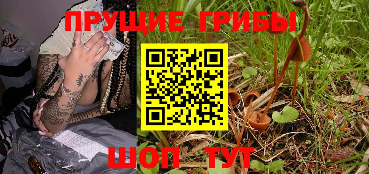 Псилоцибиновые грибы Psilocybe  Вход с VPN  Приморско-Ахтарск 